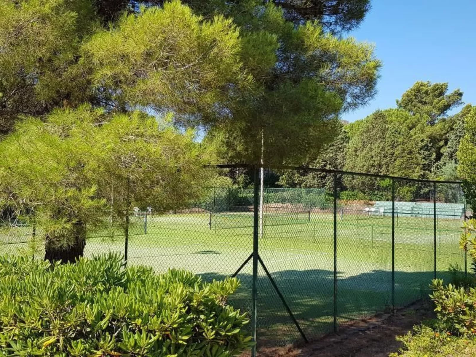 Mare e Pineta-Binnen