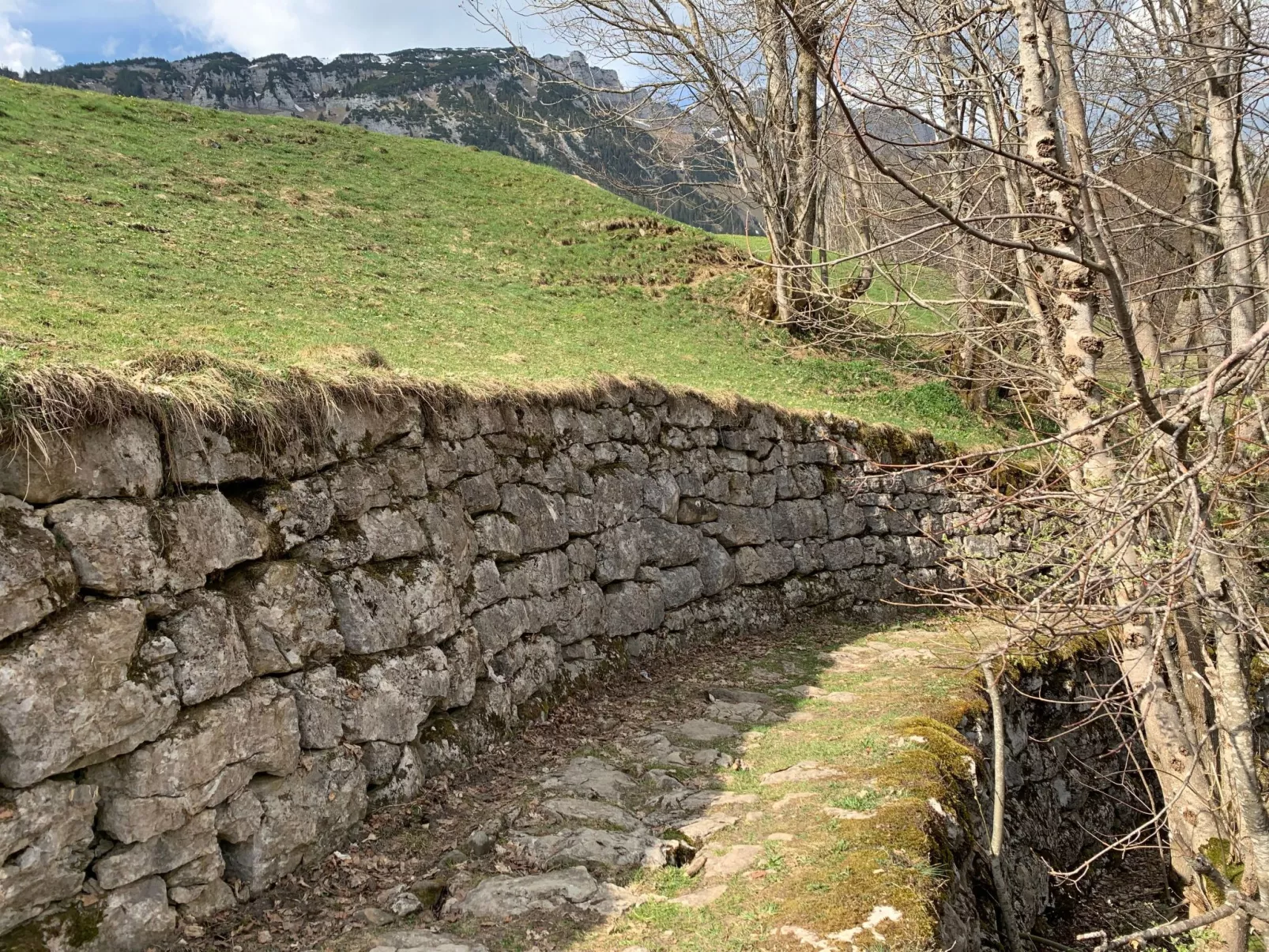 Panoramablick-Image-tags.info