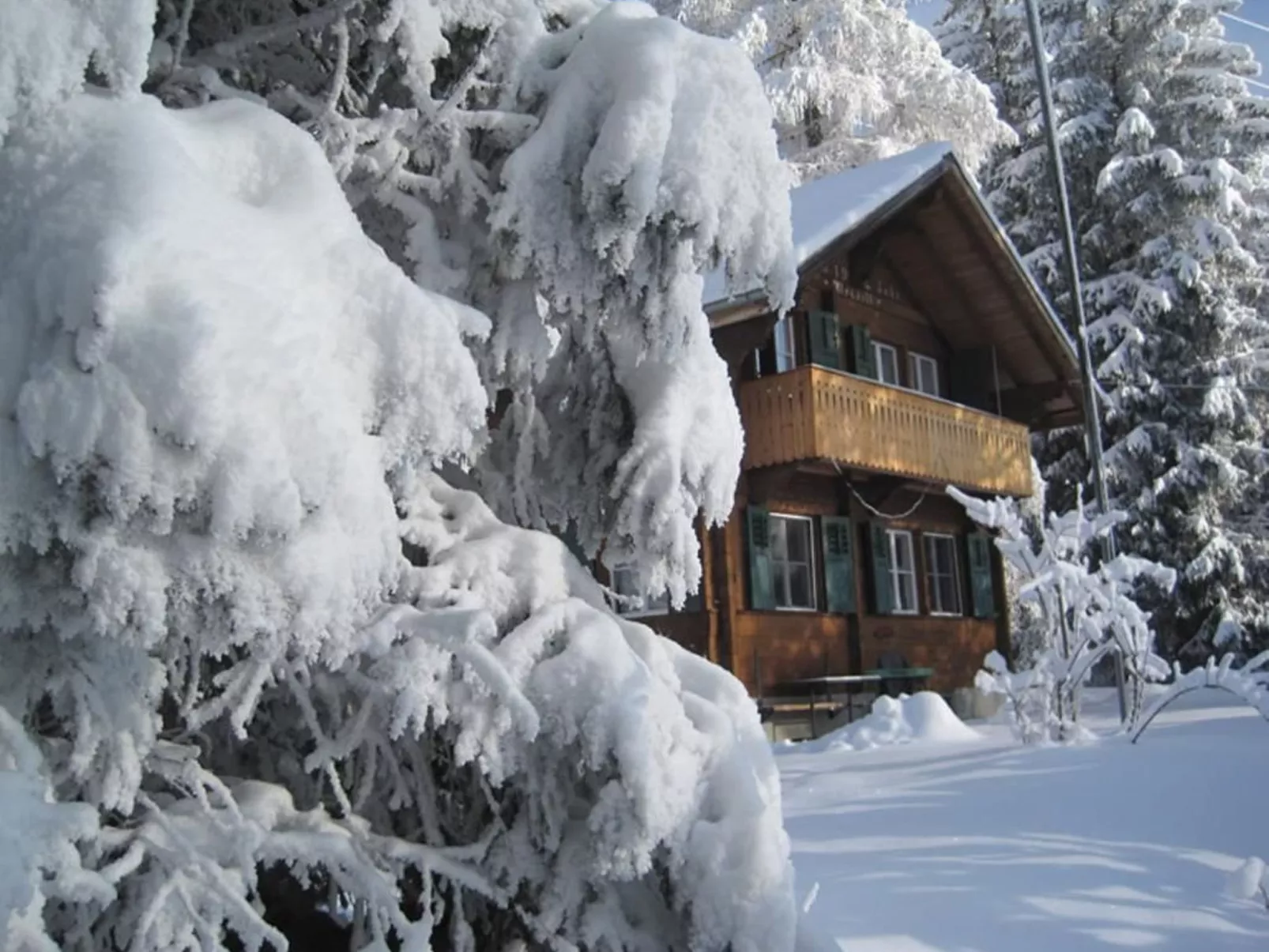 Alpidyll-Image-tags.info