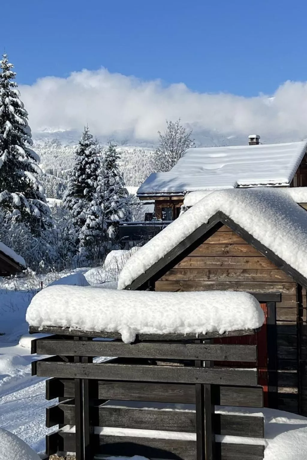 Berg-Ferienwohnung  im Chalet  Zirbeli-Binnen