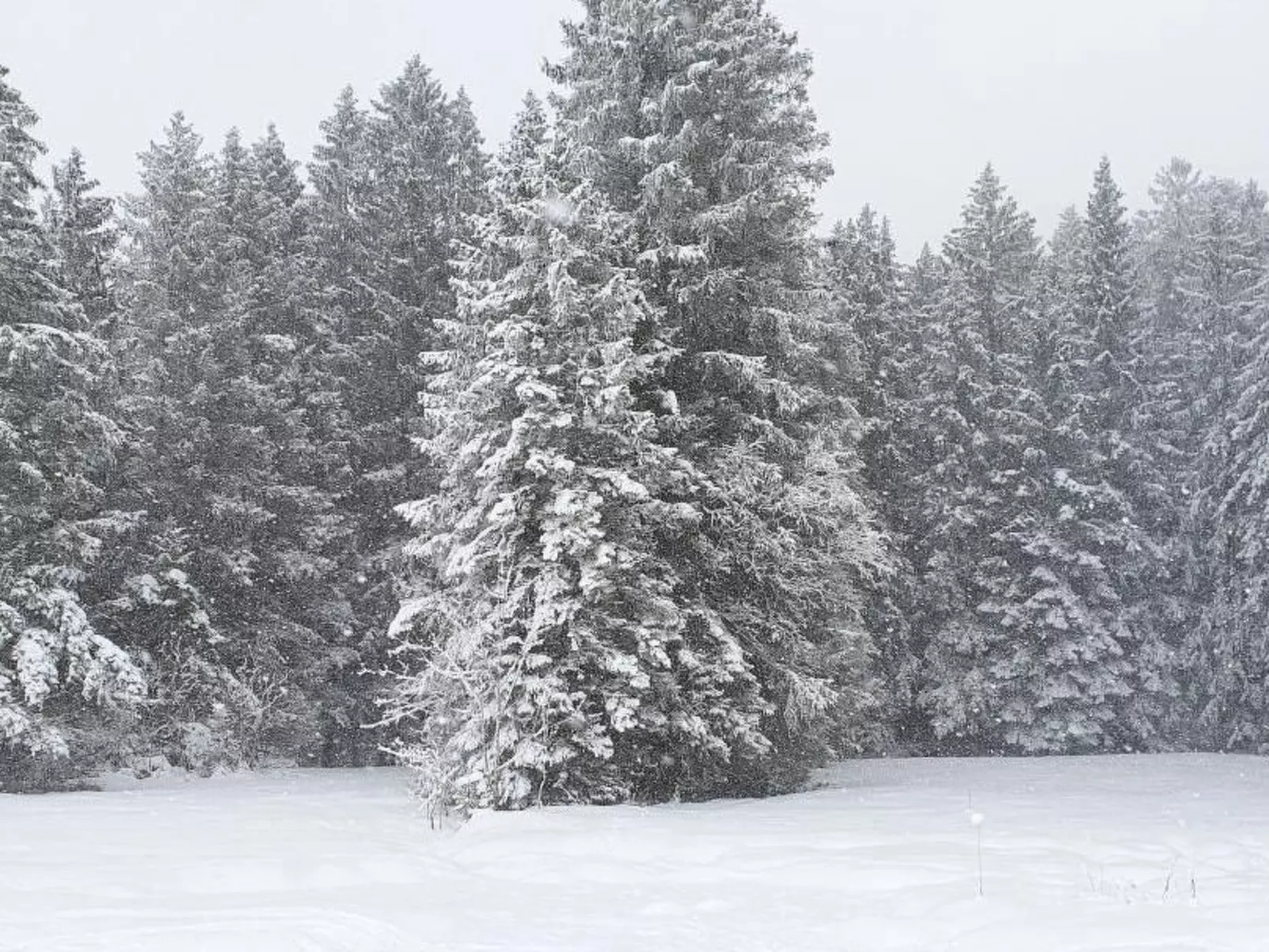 Bergsicht-Image-tags.info