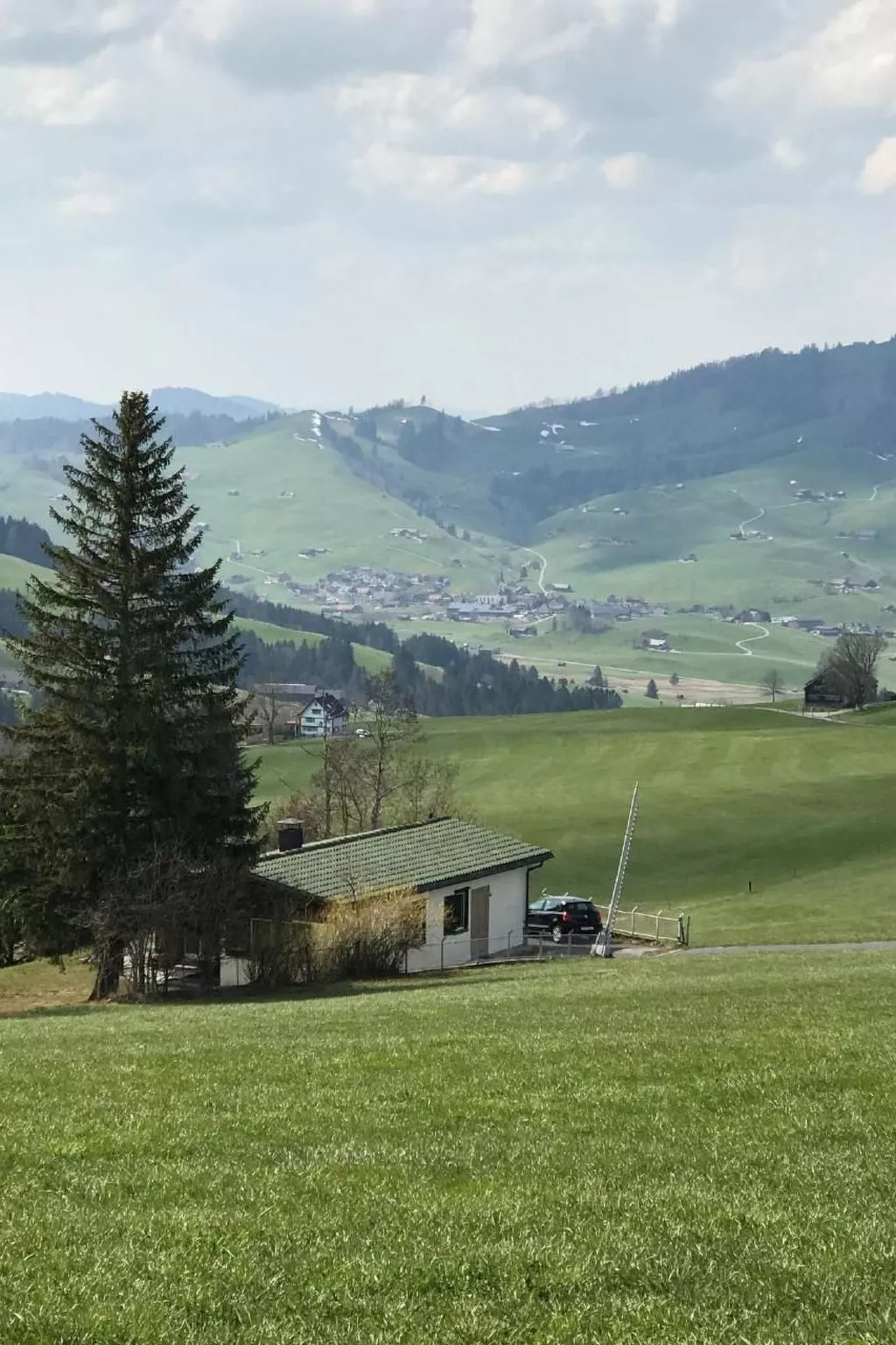 Soldanella-Image-tags.info