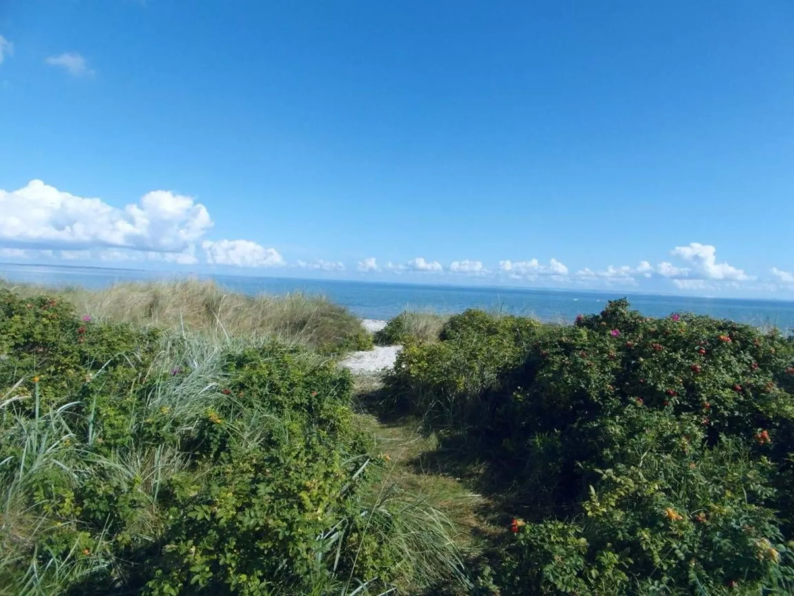 Urlaub am Meer im Ferienhaus mit Sauna-Binnen