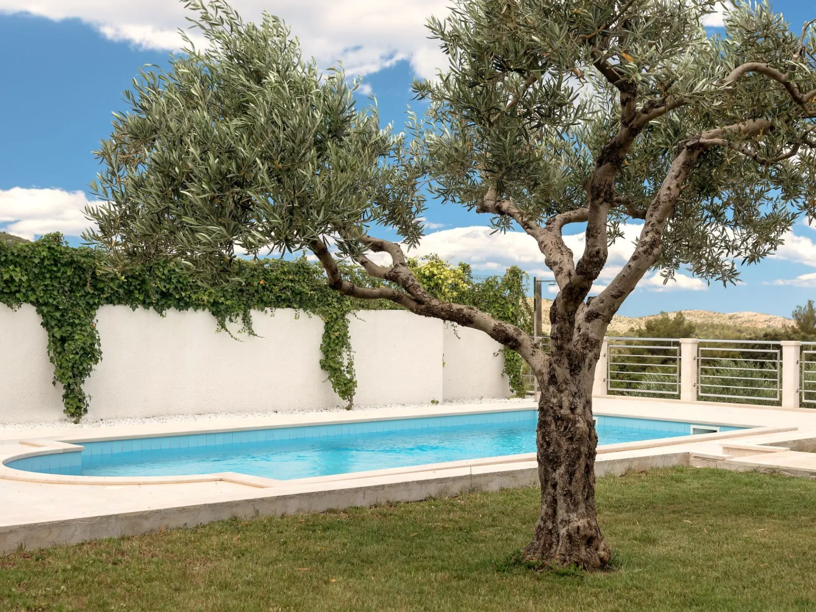 Finca mit Garten, Grill und Terrasse-Buiten