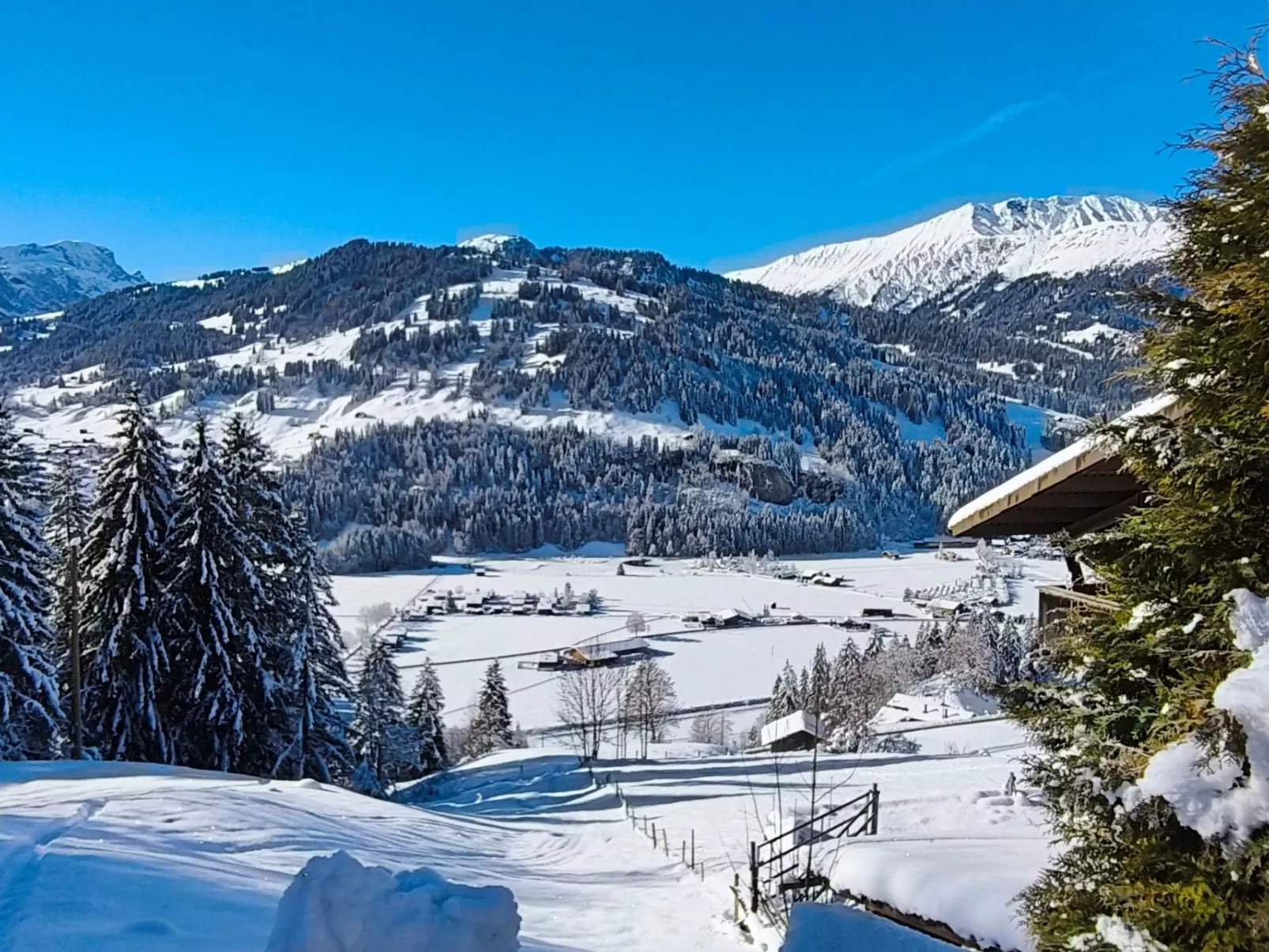 Peter's Sunnyhome-Binnen