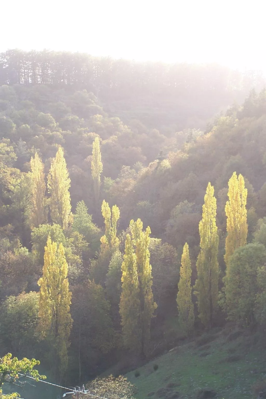Gîte de Chapelèche Les Genêts-Binnen