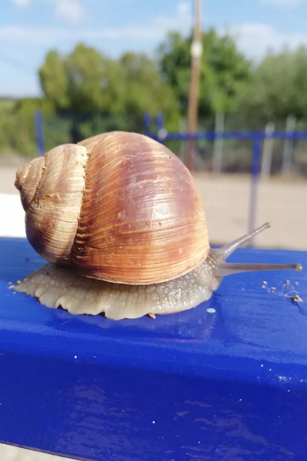 Villa Blue Cocoon mit Meerblick-Image-tags.info