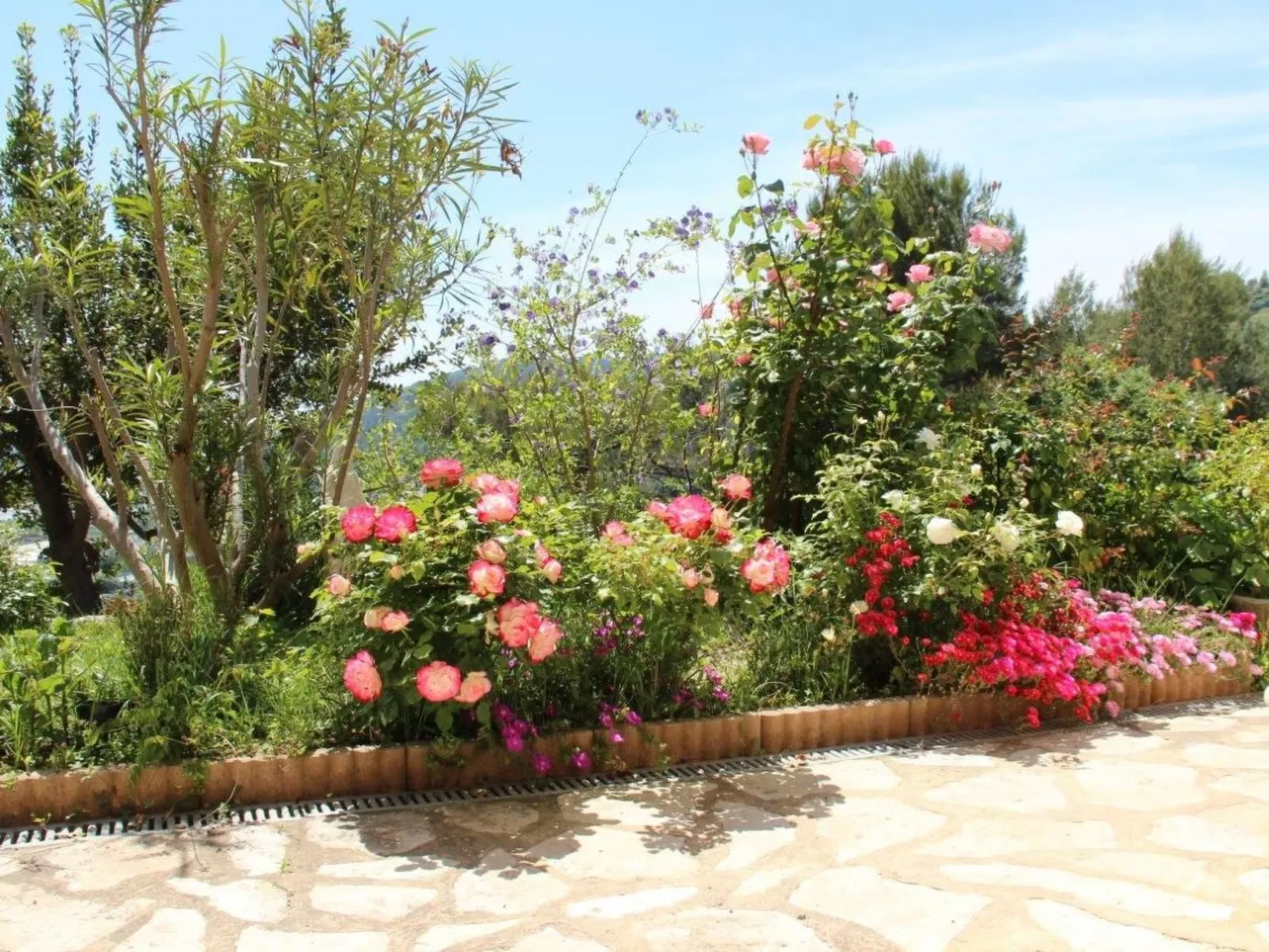 "Rocabel" mit Blick auf das Wasser-Binnen