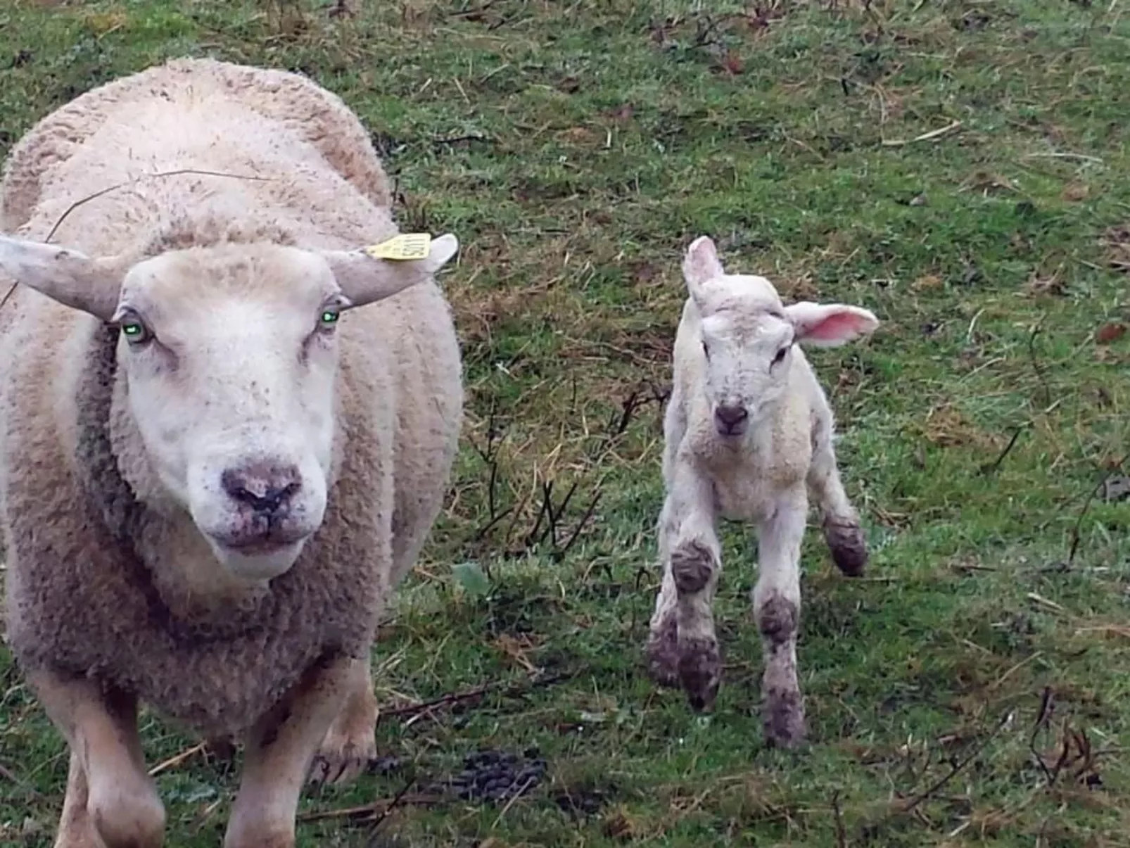 Domäne "Domaine de Ravel"-Binnen