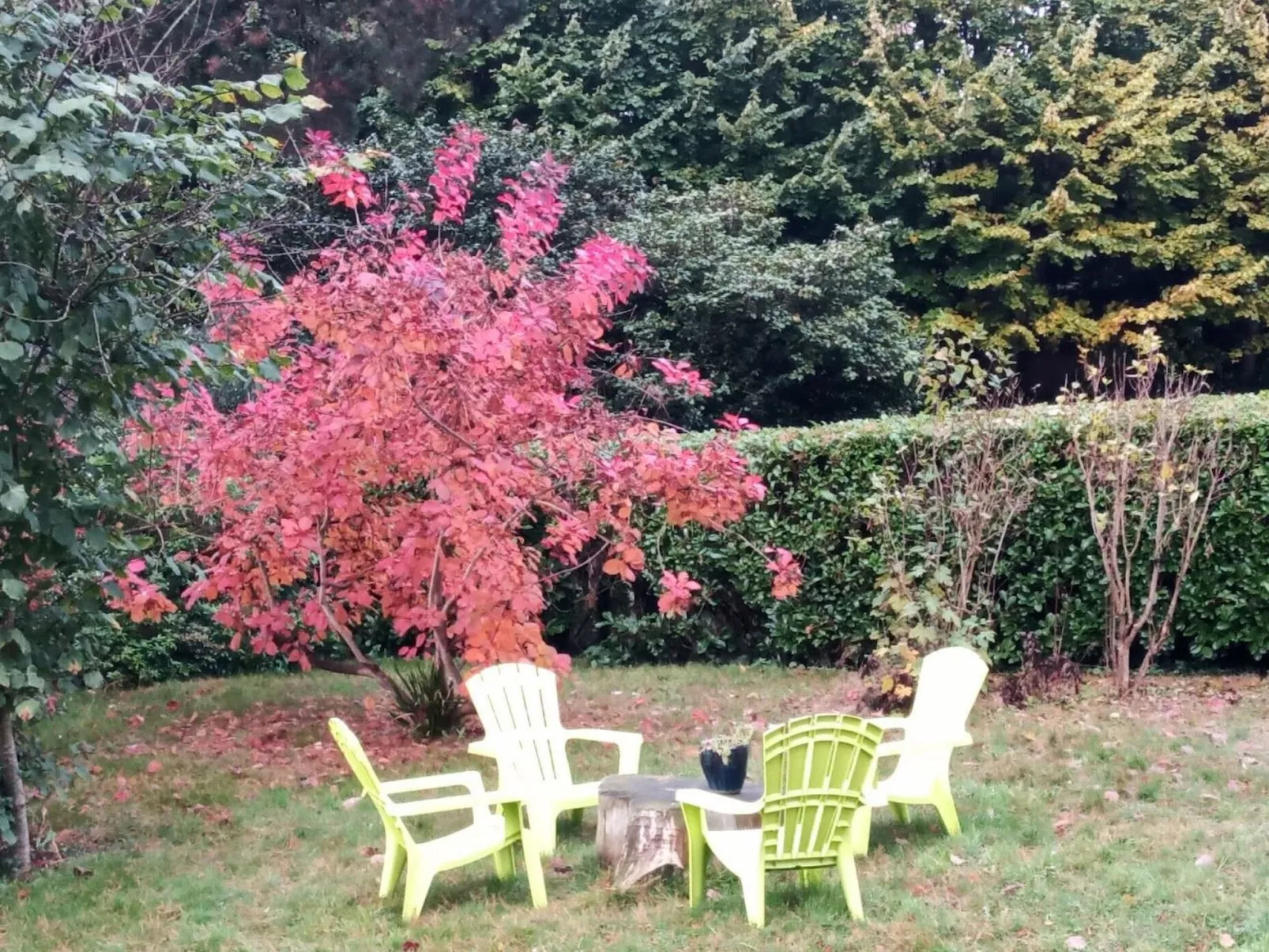 Villa La Côte du Chat -Familienhaus Bretagne-Binnen