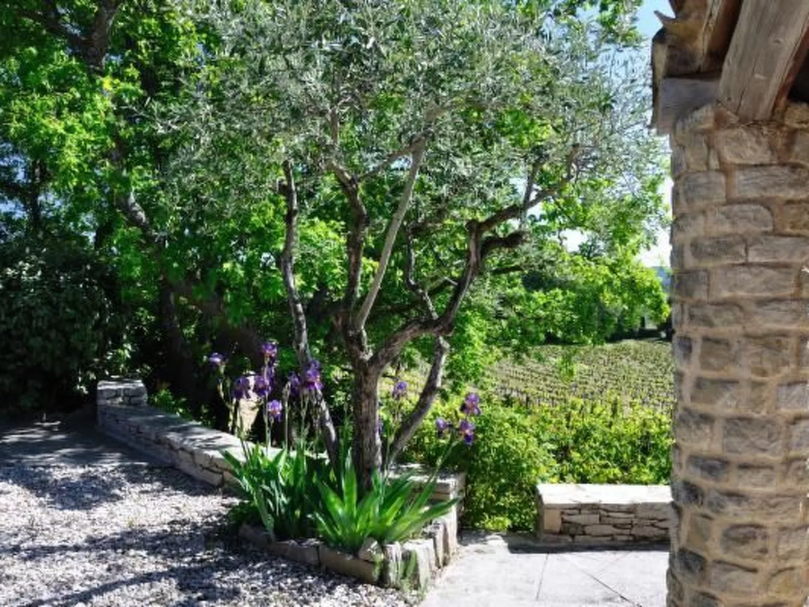 "Haus der Olivenbäume"-Binnen