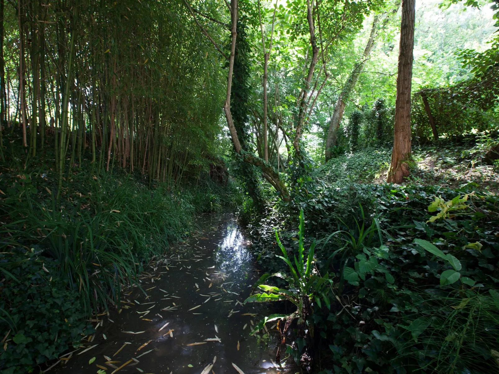 "Gite de Guillemat"-Buiten