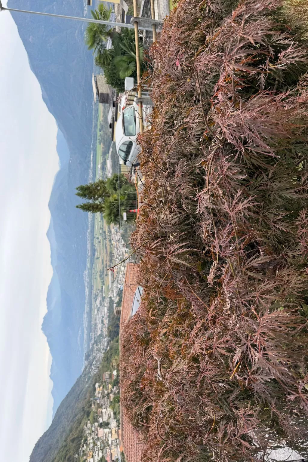 CASA GIALLA - Buiten