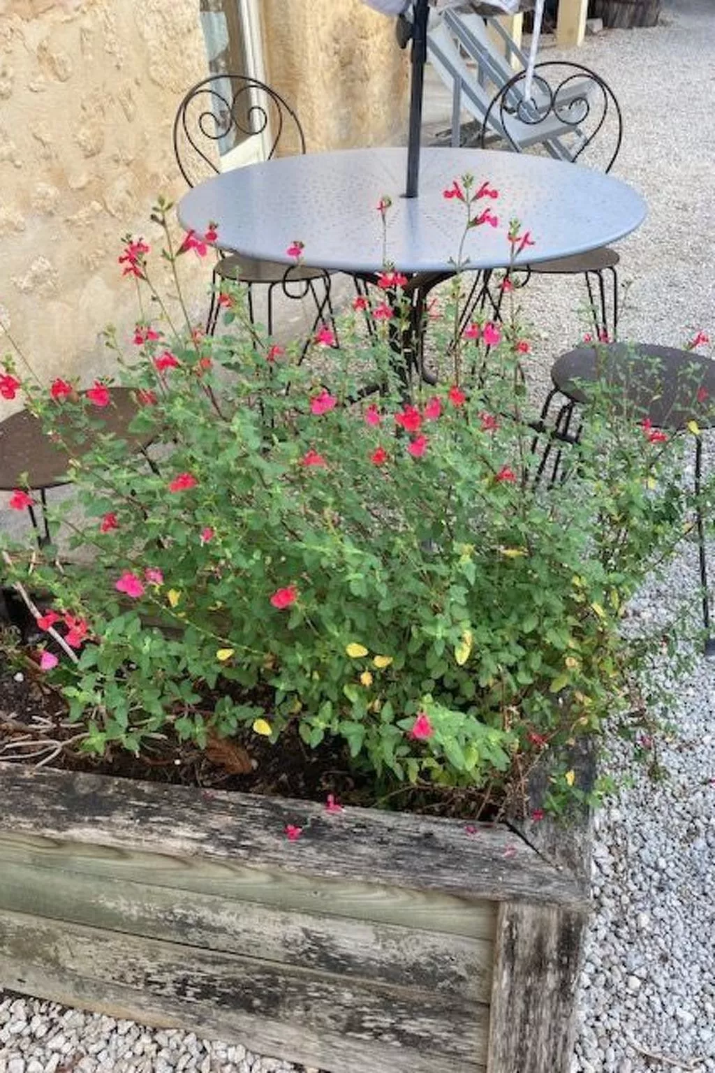 Les Milandes in Sainte-Mondane-Binnen