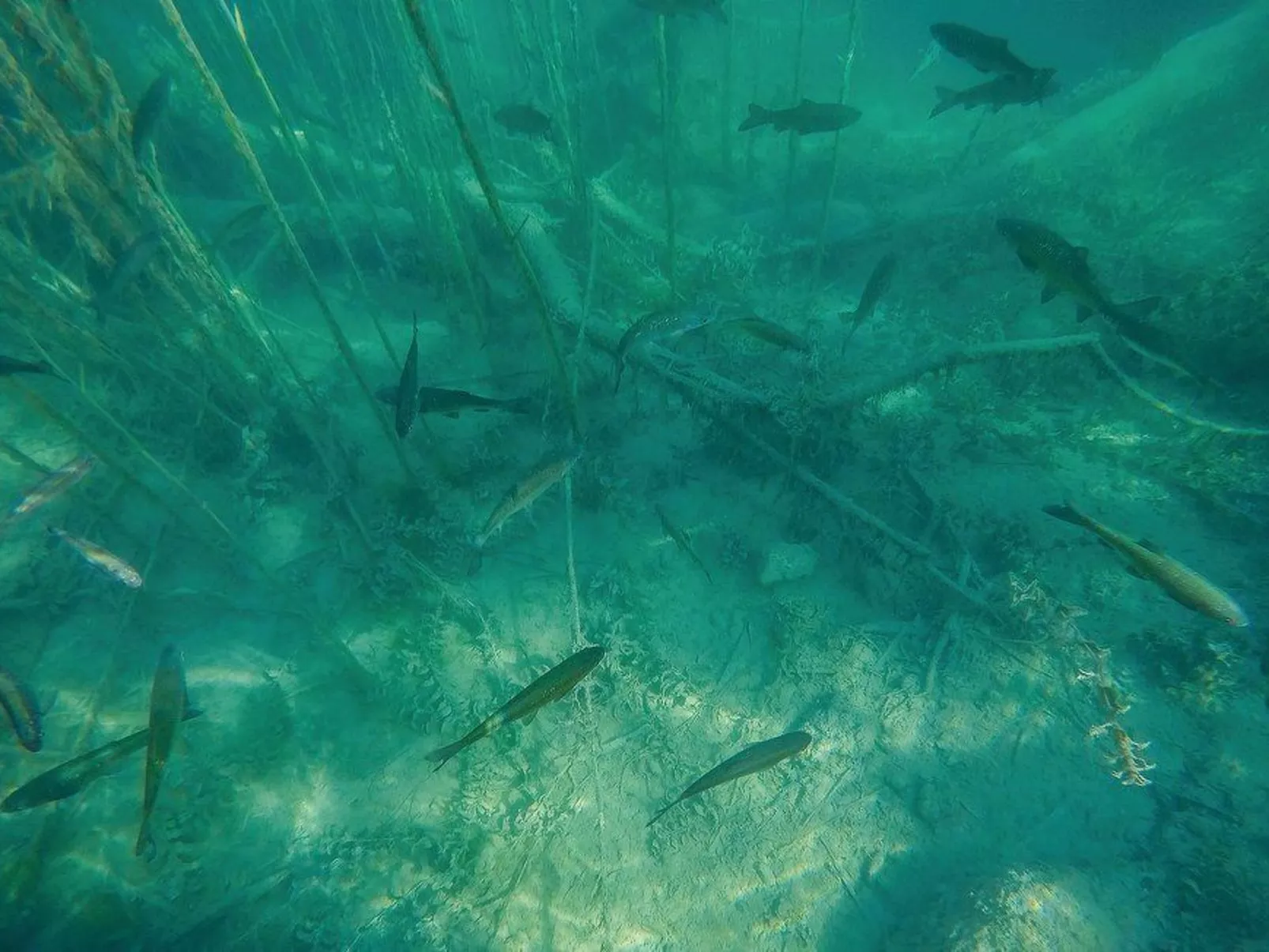 Ferienhaus-Image-tags.info