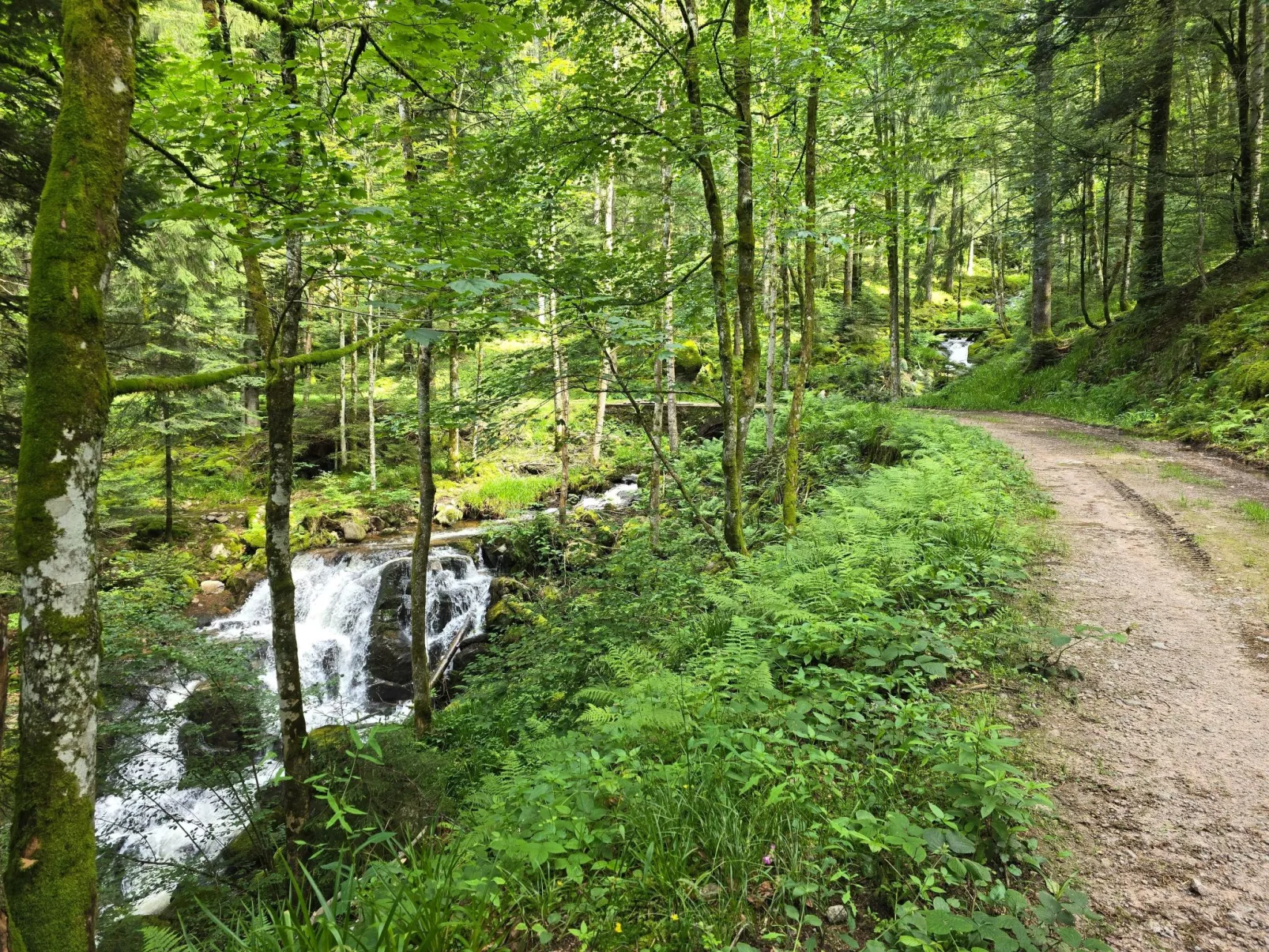 Le Chalet Sous Les Sapins, mit Swimmingpool, Sauna-Binnen
