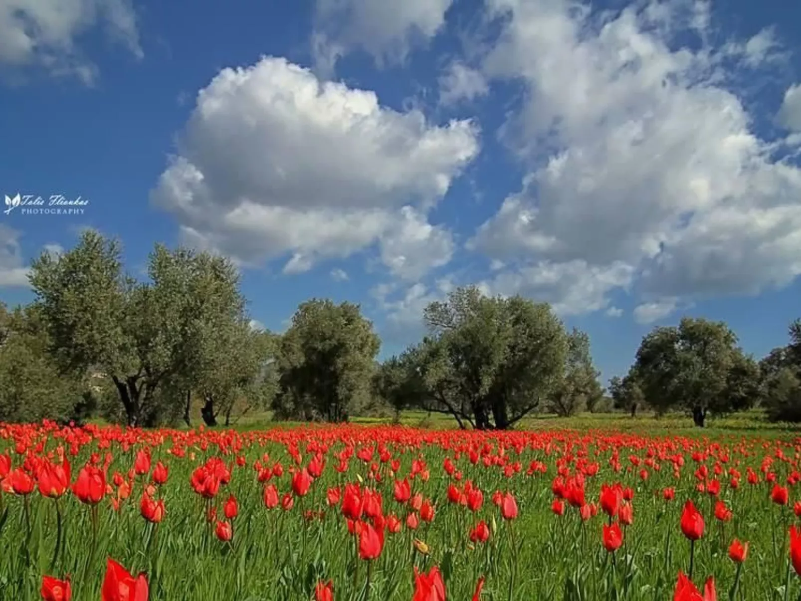 Charmante Villa mit Meerblick - 300m. vom Strand-Binnen