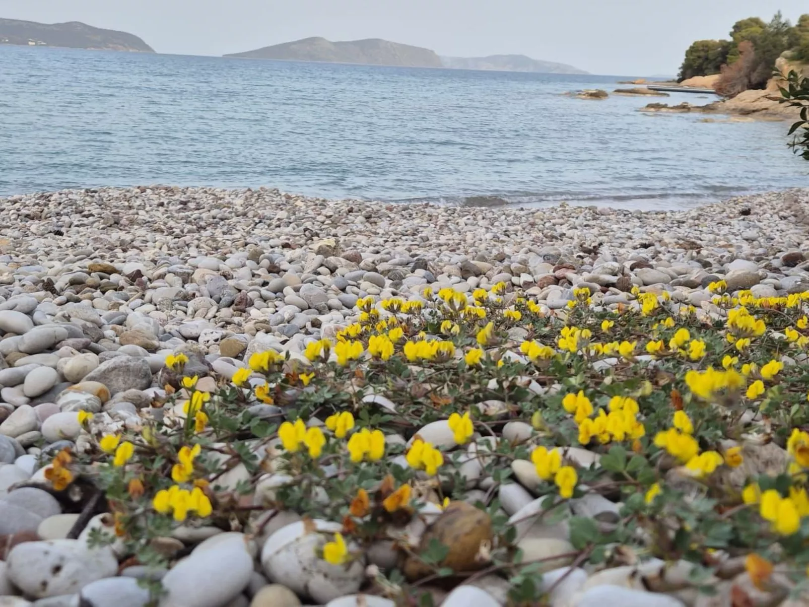 "Villa Newlands" - Pool, Meer und Inseln-Binnen