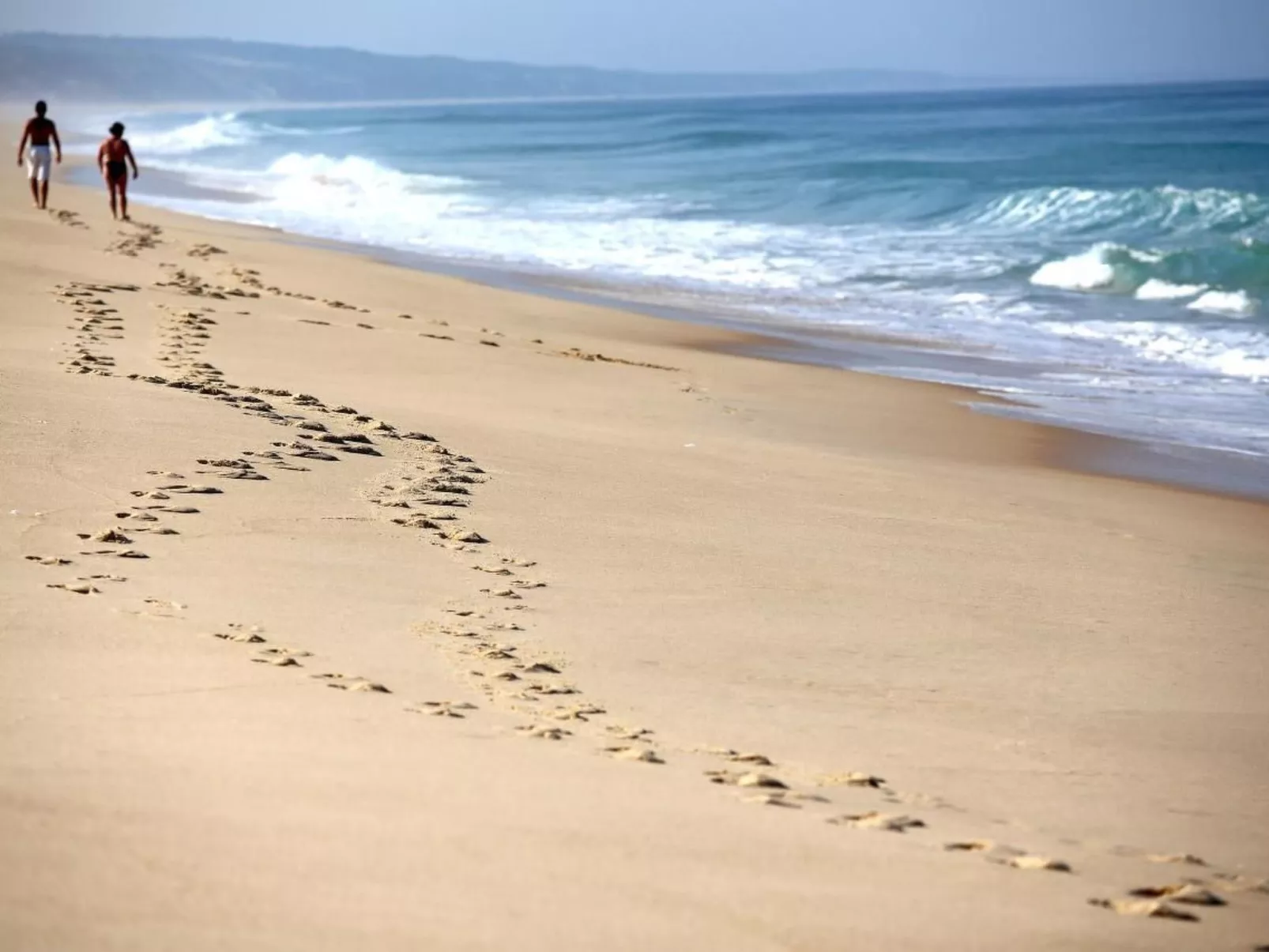 Exklusive Design-Villa in den Dünen, Pool auf dem Dach-Buiten
