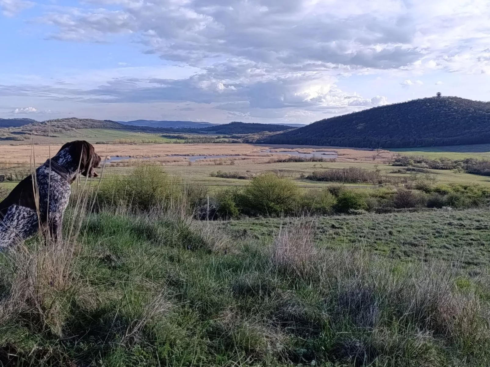 Ferienwohnung-Binnen