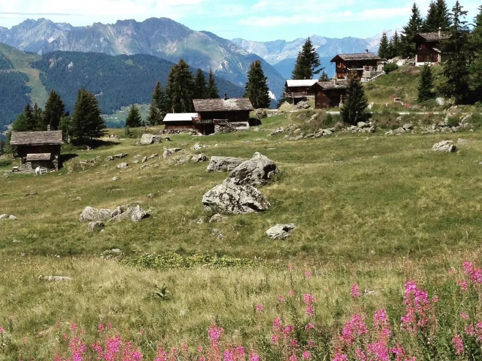 Chalet 3 Zi. in ruhiger Lage, in der Nähe von Verbier-Buiten