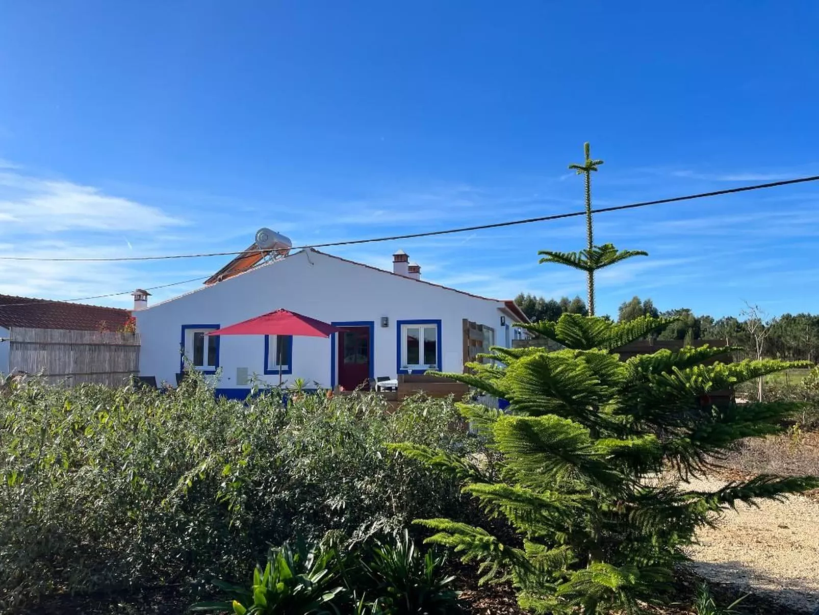 Auf dem Lande in der Nähe des Strandes-Image-tags.info