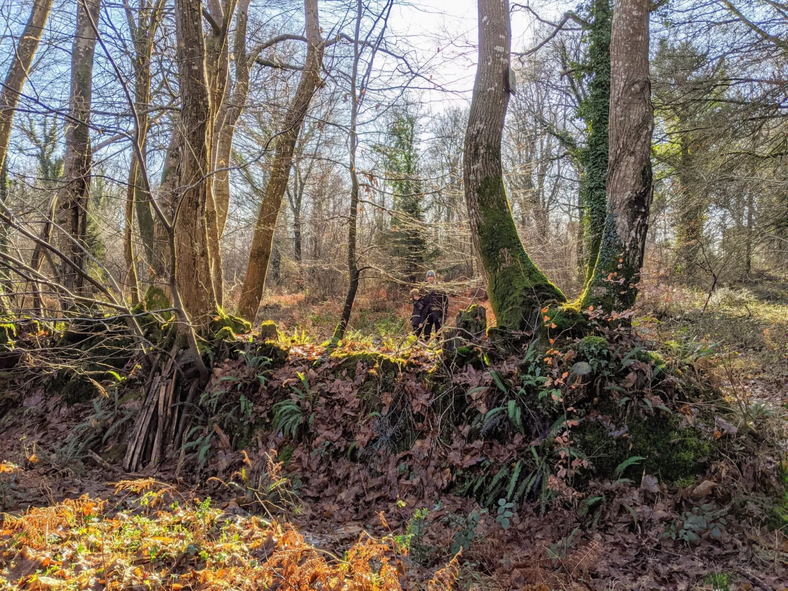 Helles, offenes Ferienhaus, Gemeinschaftspool Hunde-Buiten