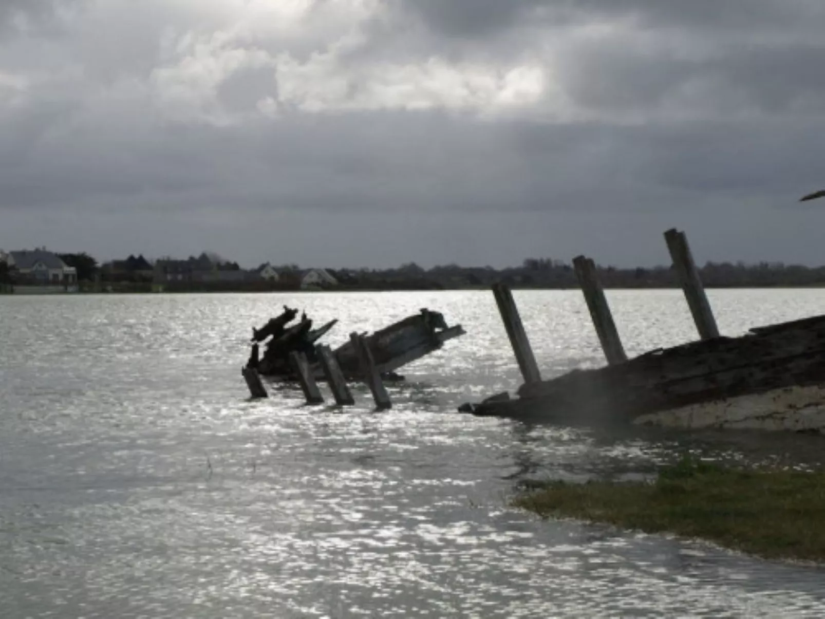 Le Bois aux Ecureuils (Eichhörnchenwald)-Binnen