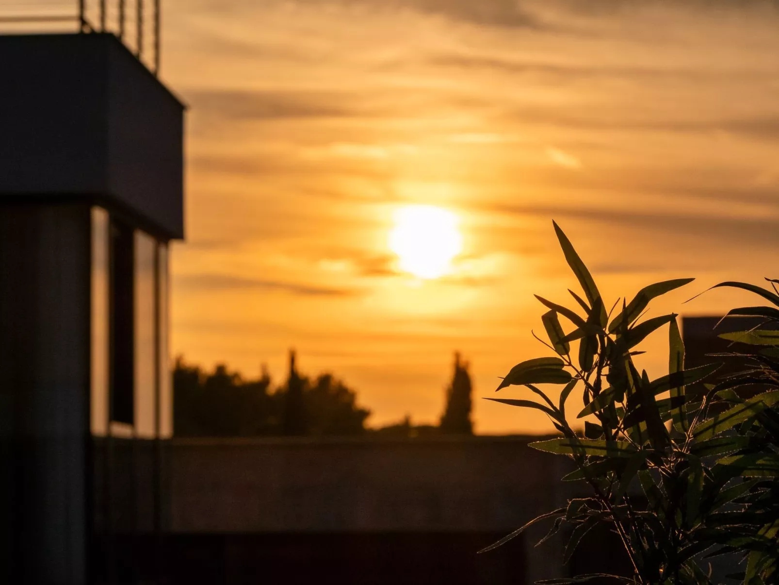 Urlaub Luxusvilla "Villa Supreme Pasman" neu-Binnen