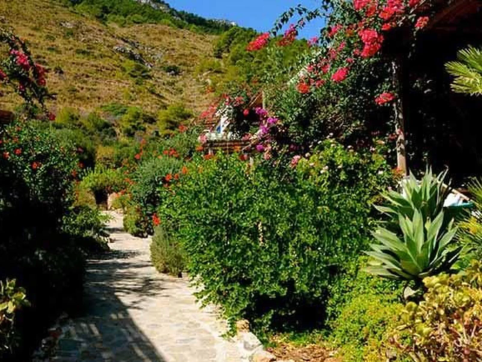 Wohnung in Marettimo mit Terrasse, gemeinsamem Pool und Garten-Buiten