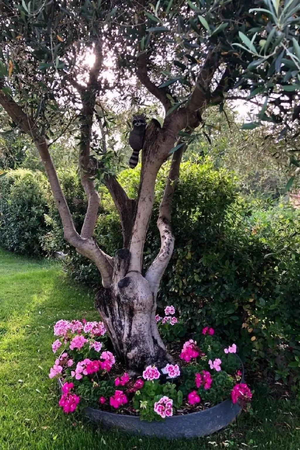 Côte d'Azur ganze Villa beheizter Pool Meerblick-Image-tags.info