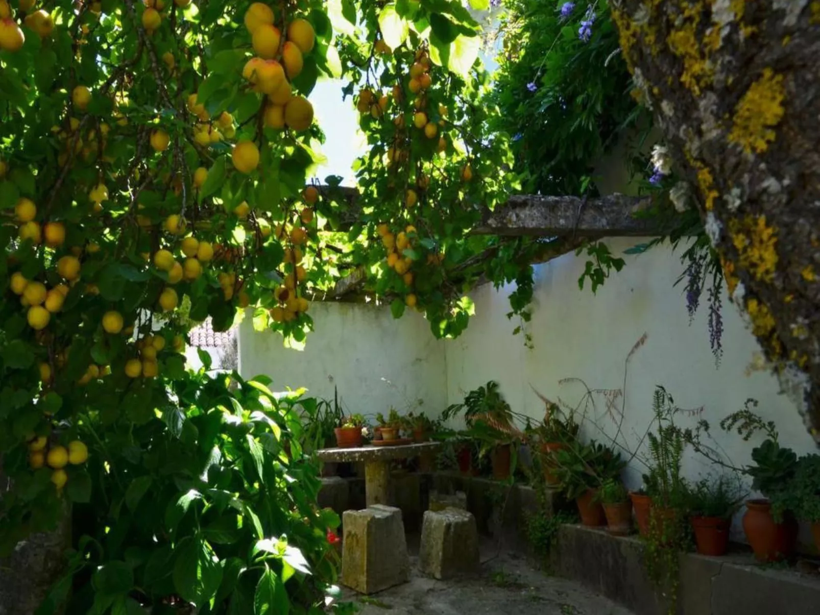 Historisches Haus in der Nähe des historischen Dorfes von Óbidos-Image-tags.info