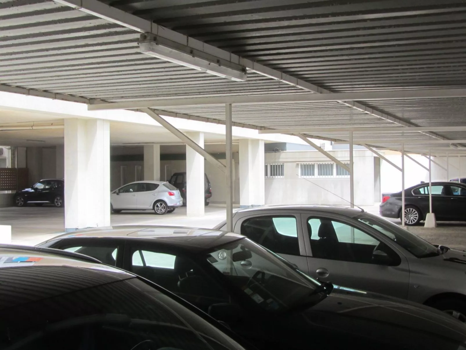 "Peixes" mit Blick auf das Wasser-Image-tags.info