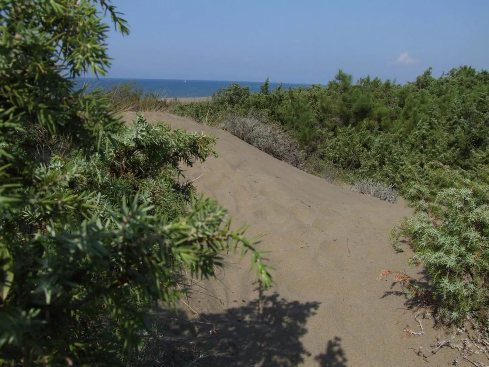 'Azalea' mit Terrasse-Buiten
