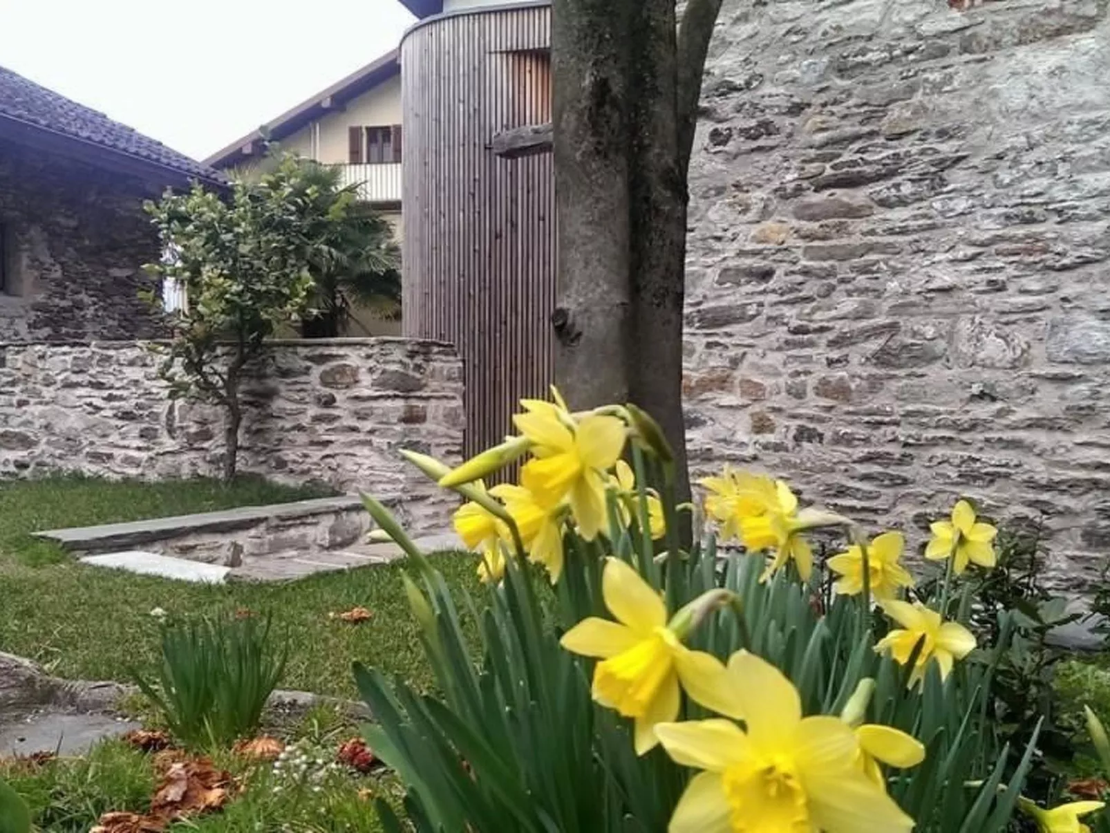 Corte delle Camelie - Wohnung im Erdgeschoss-Binnen