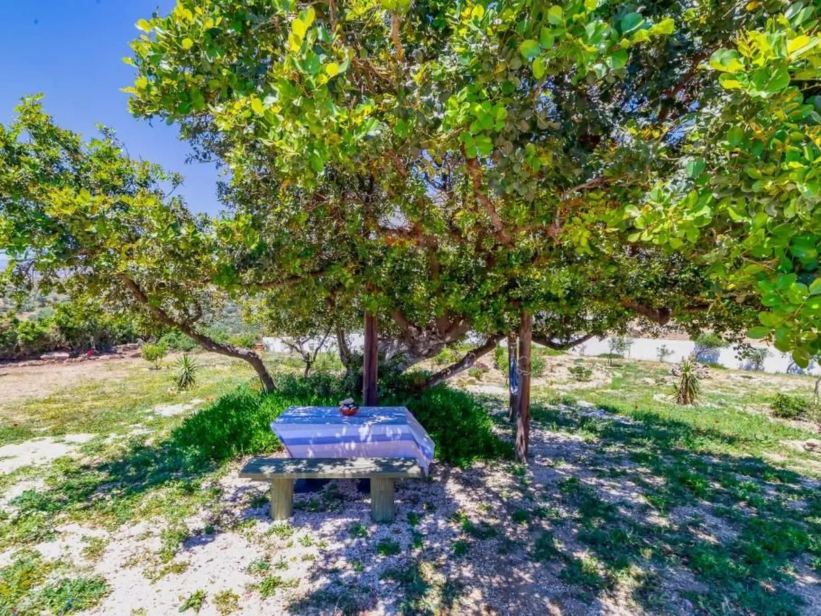 George Meerblick Triopetra-Buiten