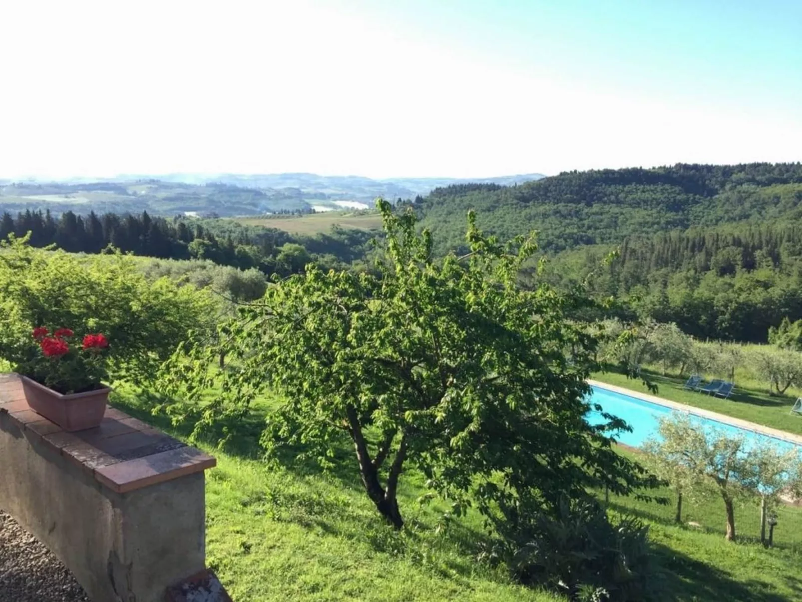 "Ciclamini capponi-Buiten