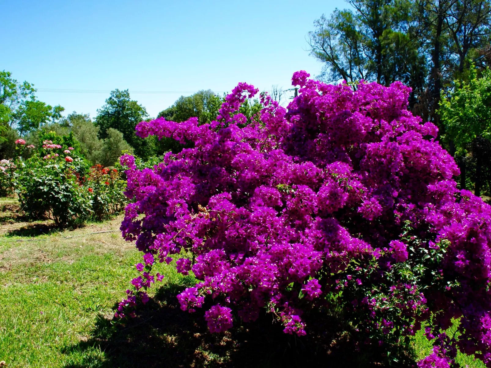 Villa mit Meerblick U Castagnu in geschützter Natur-Binnen