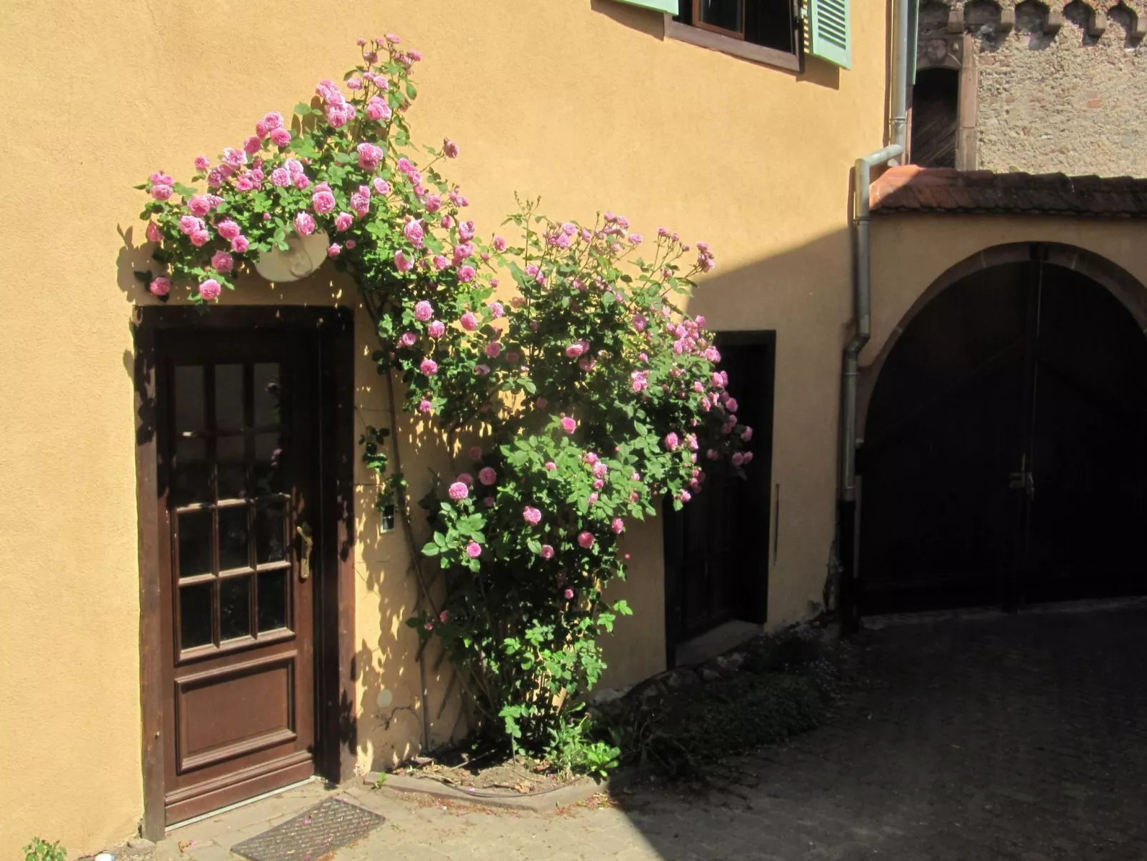 1ed-Face Vosges,au Sud,coeur Vignoble,Calme,WiFi-Buiten