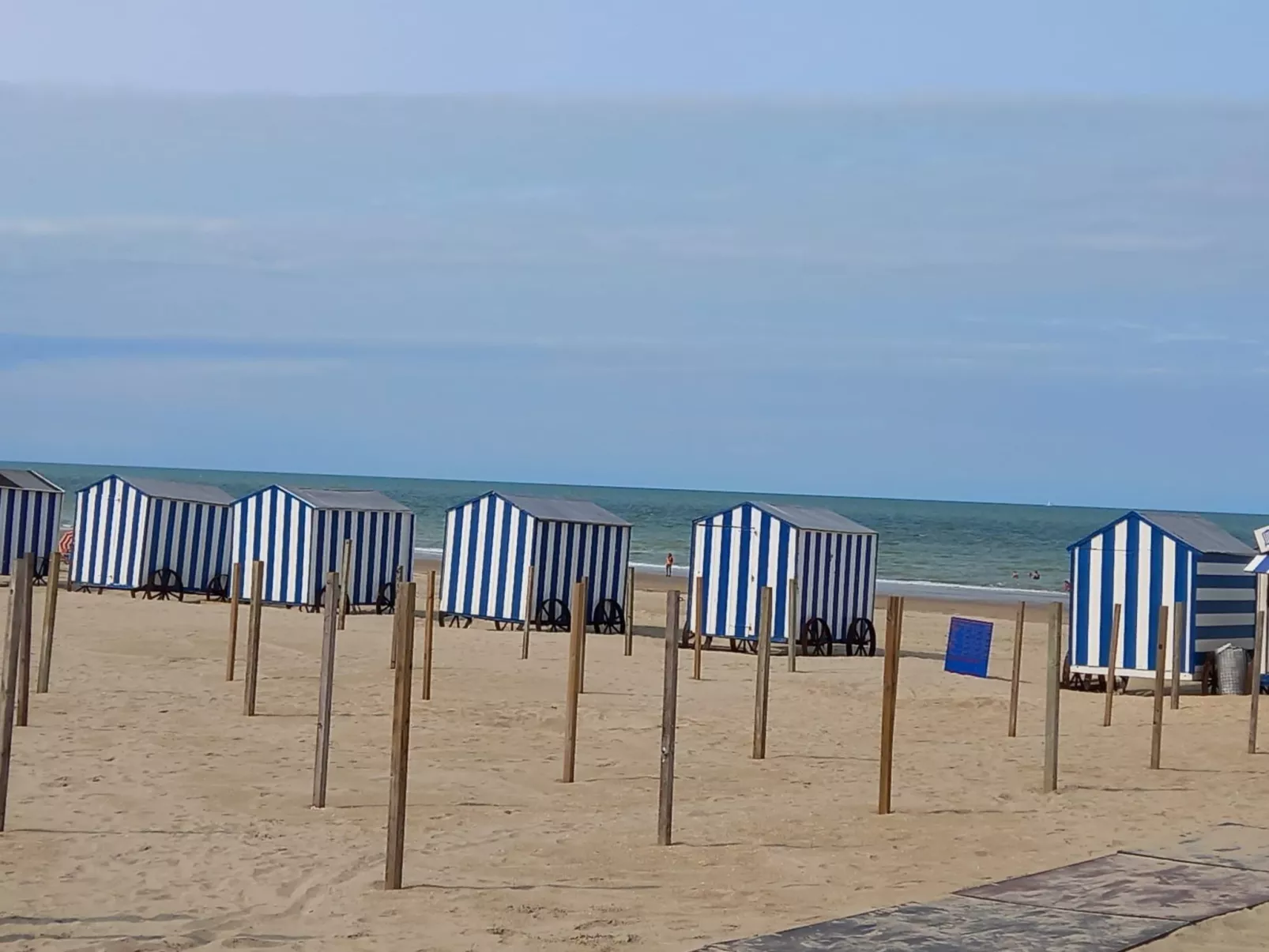 Jonathan Livingston Möwe Ferienhaus-Image-tags.info