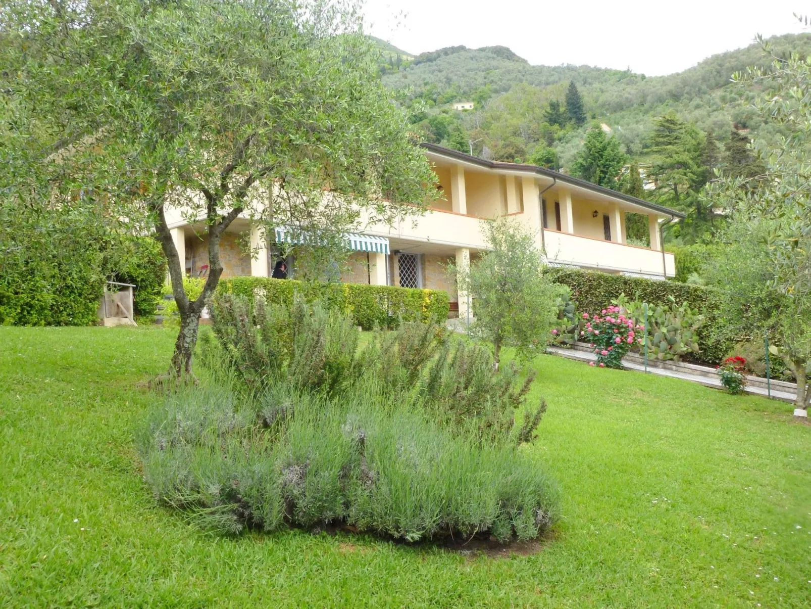 Tolles Ferienhaus in Camaiore mit Privatem Pool-Buiten