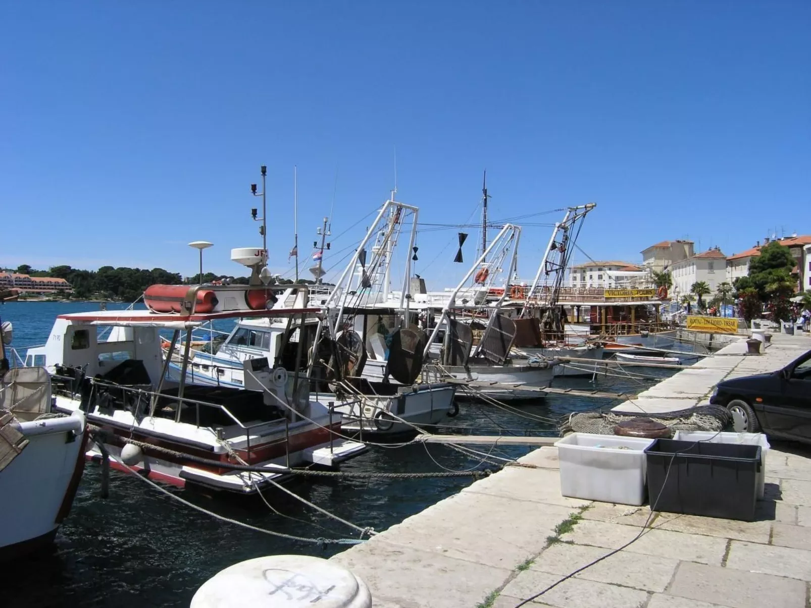 Melisa 7-Image-tags.info