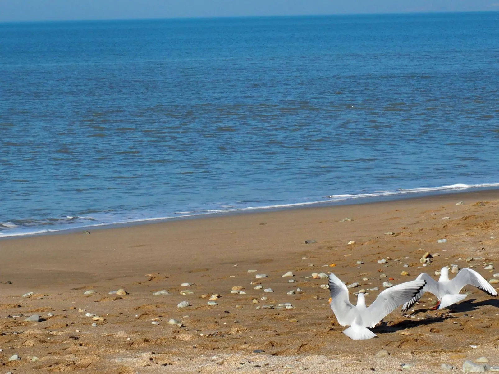 Joli studio pour 2 personnes-Buiten