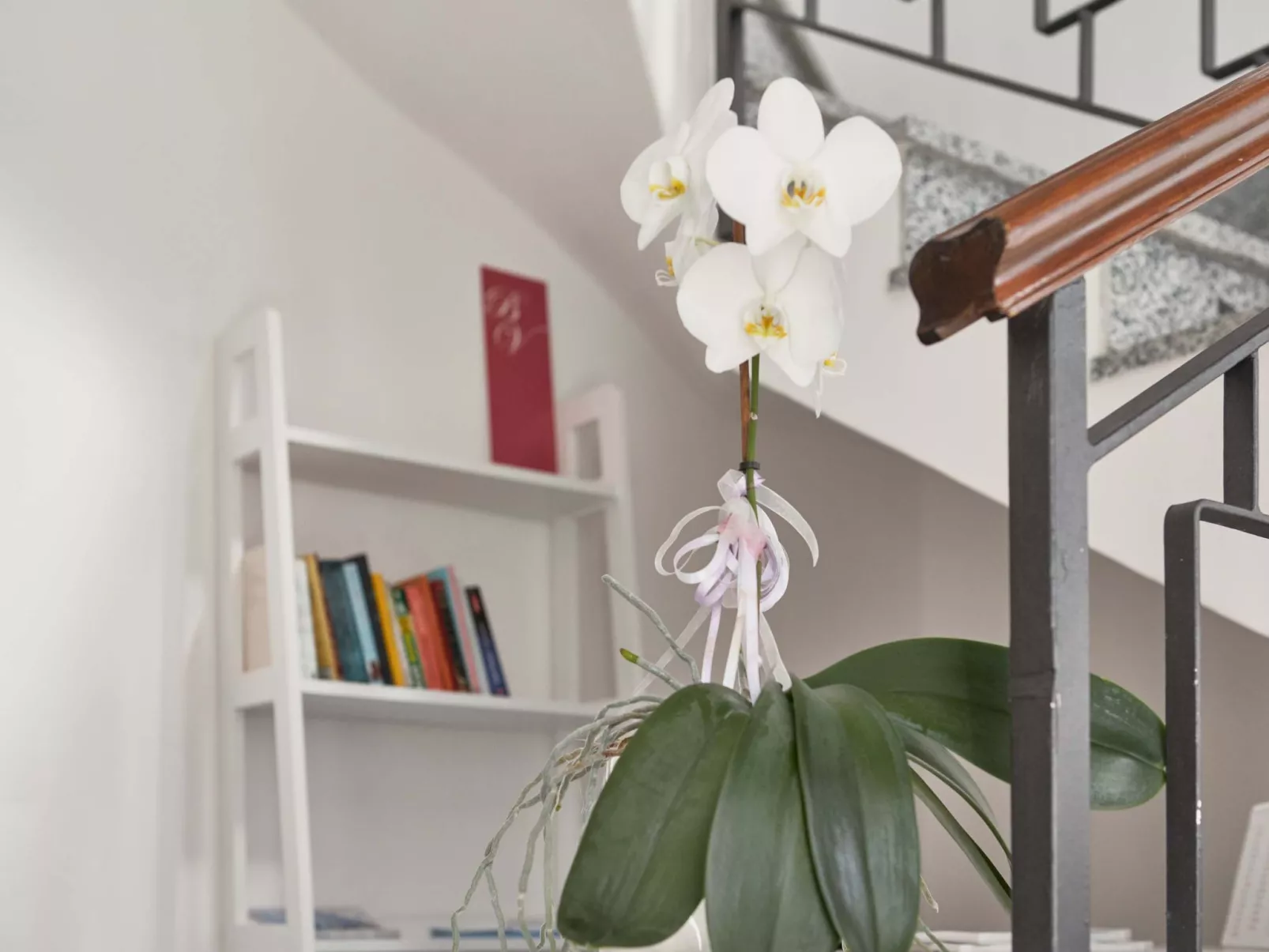 Komfort-Apartment mit Balkon BV1-Binnen