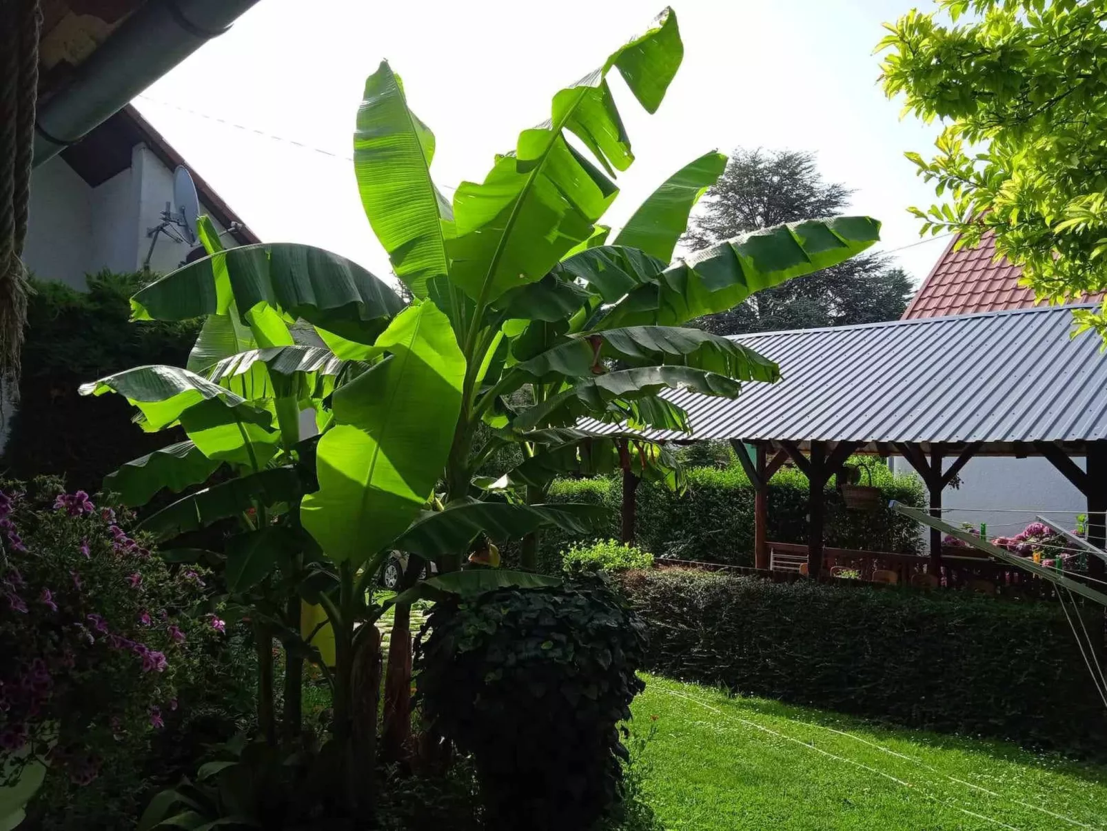 FO-18-Image-tags.info