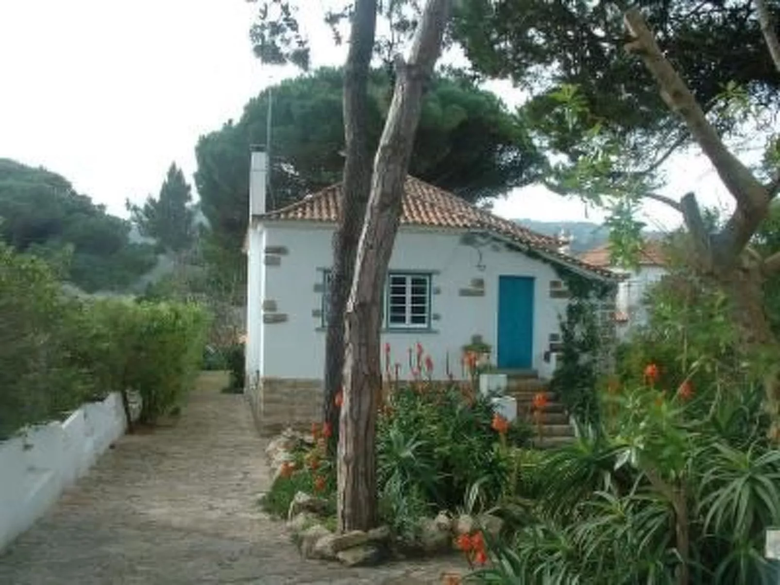 "Casa Mili" mit Kamin-Buiten