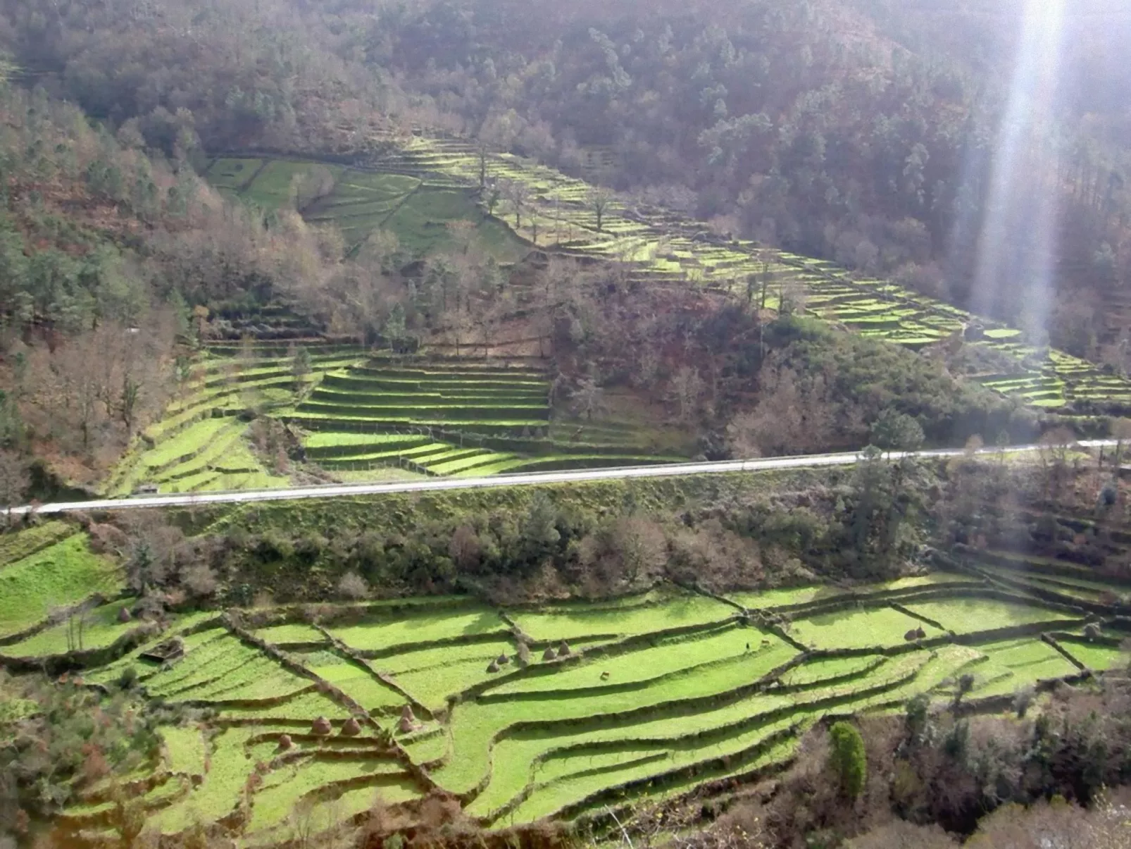 "Großmutters Häuschen" mit überdachter Terrasse-Buiten