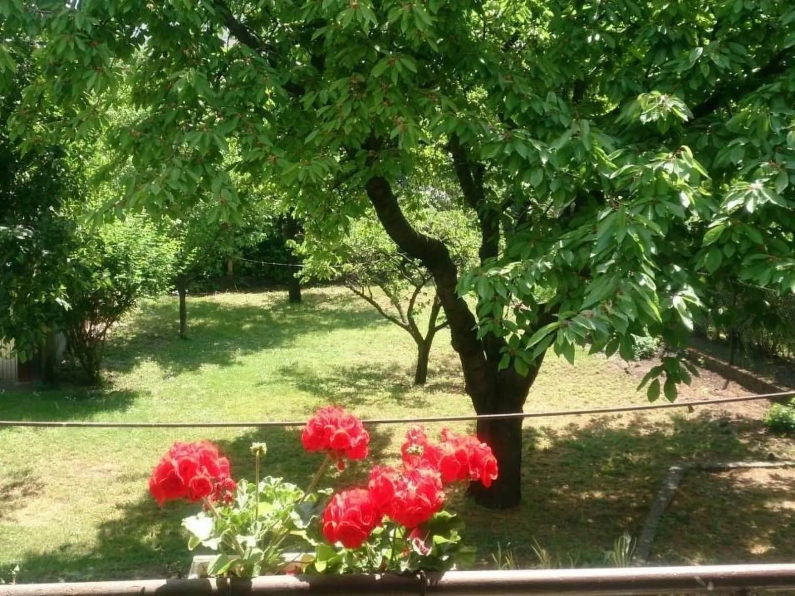 Haus in Budapest-Binnen