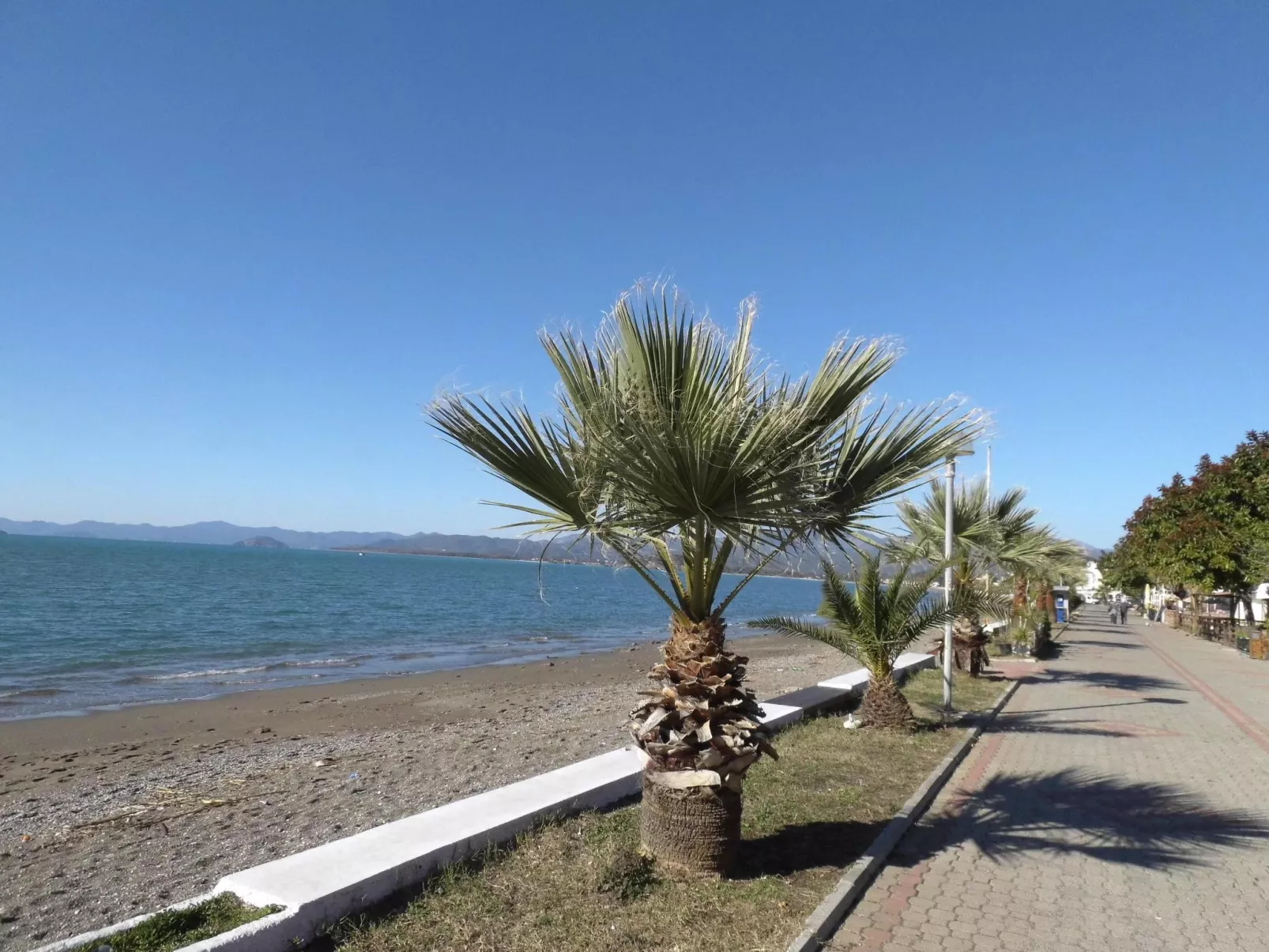 Strandnahe Ferienwohnung über zwei Etagen-Binnen