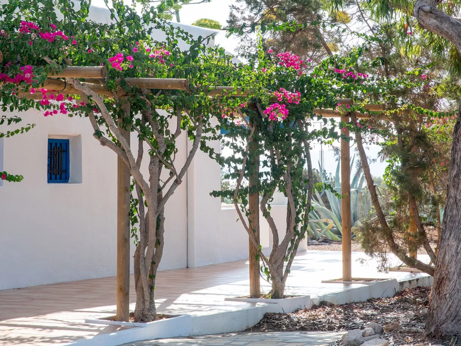 Casa Llevant 4 pax-Buiten